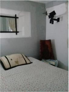 una camera da letto con un letto con un cuscino sopra di Villa Julirous Rd spa and aparthotel camp for vacationers a Boca Chica