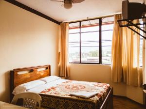 Archidona的住宿－Palmar del Rio Gran Hotel，一间卧室设有一张床和一个大窗户