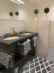 uma casa de banho com dois lavatórios e vasos de plantas em DAS Max em Dalaas