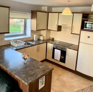 Una cocina o kitchenette en Wild Atlantic Apartments Killarney