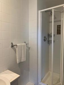 La salle de bains est pourvue d'une douche, de toilettes et d'un lavabo. dans l'établissement Wild Atlantic Apartments Killarney, à Killarney