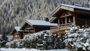 Cabaña de madera con nieve en el techo en Chalets Grands Montets en Chamonix-Mont-Blanc