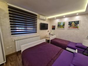 Una televisión o centro de entretenimiento en Hotel Sunce