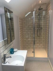 a bathroom with a shower and a white sink at The Garden Loft in Freethorpe