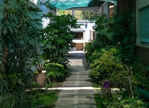 a garden corridor with plants and a walkway at Habitación en La Casa de Mis Padres in Mendoza