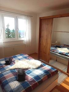 a bedroom with a bed and a mirror at Apartman Glacier in Tatranska Strba