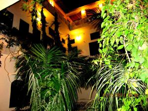 a room with plants on the side of a wall at Atithi Guest House Pushkar in Pushkar