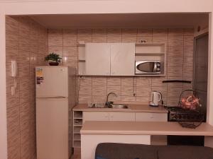 una pequeña cocina con nevera y fregadero en Apartamento Alturas del Elqui 417, en La Serena