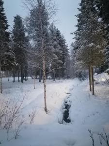 a snow covered field with trees and a creek at Hostel Tikka in Rovaniemi