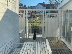 Ein schwarzer Hund sitzt vor einem Tor. in der Unterkunft 10 person holiday home in Tornes I Romsdal in Tornes