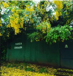 a green fence with trees and yellow flowers at Posada María Iguazú in Puerto Iguazú