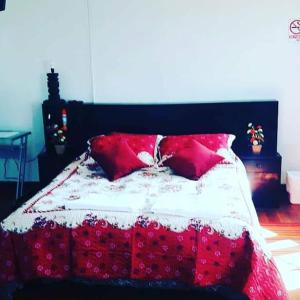 Hostal Cotroneo في فينيا ديل مار: سرير احمر وبيض عليه مخدات حمراء