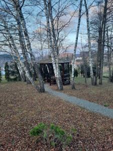 a wooden shelter in the middle of a field with trees at Planinska kuća Dasović in Fužine
