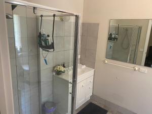 a bathroom with a shower and a sink and a mirror at Daisy Cottage on Buckland Estate in Irishtown