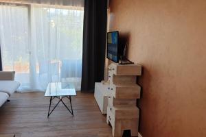 - un salon avec un canapé, une table et une télévision dans l'établissement Apartmán v srdci Tatier, à Dolná Lehota
