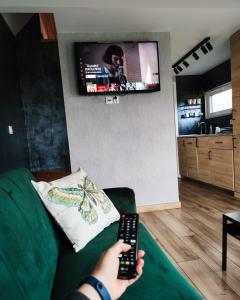 Televízia a/alebo spoločenská miestnosť v ubytovaní Sarnia Łąka Domek 1 z Prywatnym Jacuzzi