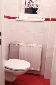 a bathroom with a toilet and a window and a chandelier at Apartment Petra in Lipova Lazne +23 photos