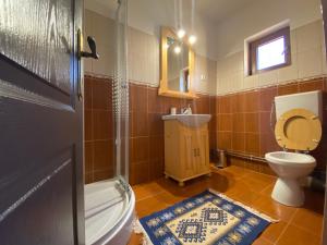ein Bad mit einem WC, einem Waschbecken und einer Dusche in der Unterkunft Pensiunea Marioara in Breb