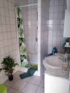 a white bathroom with a shower and a sink at Les Locations de Stéphanie ,gîte L'Arbre Vert in Sondernach +54 photos