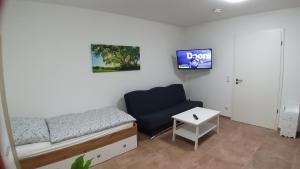 TV a/nebo společenská místnost v ubytování Pension Chen