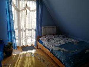 a bedroom with a bed with blue walls and a window at Pokoje Ewka in Czarna Góra