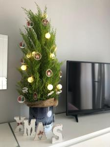 a christmas tree in a pot next to a tv at Apartament KORNER Chełmońskiego Śrem in Śrem