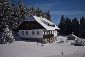 Pension Helena Honesová v zime