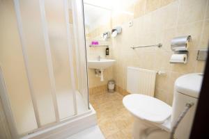 Kúpeľňa v ubytovaní Hotel Džbán