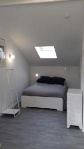 1 dormitorio con 1 cama y tragaluz en Studio rénové et équipé 2 personnes Le canardeau, en Ancy-sur-Moselle