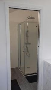 y baño con ducha y puerta de cristal. en Studio rénové et équipé 2 personnes Le canardeau, en Ancy-sur-Moselle
