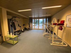 Fitness centrum a/nebo fitness zařízení v ubytování Holiday on the Lake Lugano + 37 fotografií