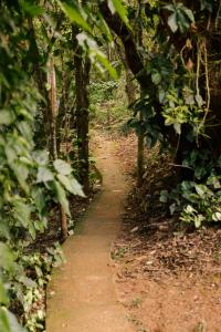 un camino de tierra en medio de un bosque en Chalés do Beto em Macacos en Macacos
