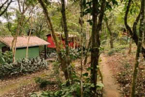 a red and green house in the middle of a forest at Chalés do Beto em Macacos in Macacos