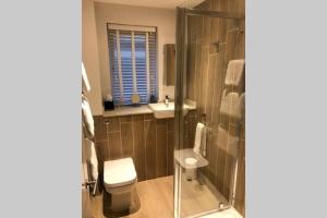 a bathroom with a toilet and a sink and a shower at Alison15 - Superior Clifton Studio Apartment in Bristol