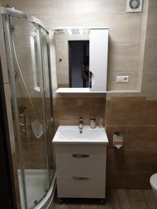 a bathroom with a sink and a shower at Swan City Apartment in Gulbene