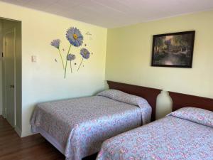 Gallery image of Motel Des Erables in Coteau-du-Lac