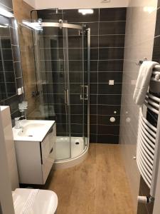a bathroom with a shower and a sink and a toilet at Baltic Blue Apartamenty Pobierowo in Pobierowo