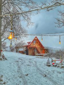 Log cabin Uvac (Vikendica Saponjic) að vetri til