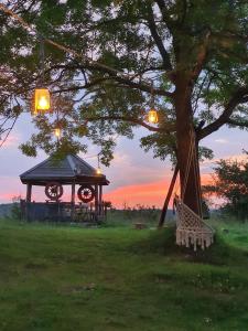 Garður fyrir utan Log cabin Uvac (Vikendica Saponjic)