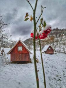 Log cabin Uvac (Vikendica Saponjic) að vetri til