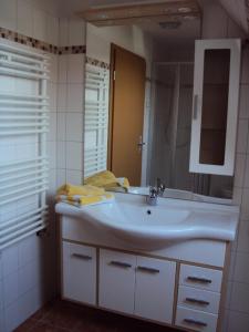 een badkamer met een wastafel en een spiegel bij Ferienwohnung im Nationalpark Jasmund in Hagen