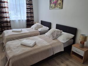 Postel nebo postele na pokoji v ubytování Apartmány Šafrán