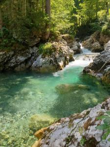 um rio com água verde e rochas e árvores em Haus Pfannenhölzer em Bad Hindelang