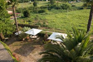 una vista aérea de un jardín con dos sombrillas en Villa Anna en Savudrija