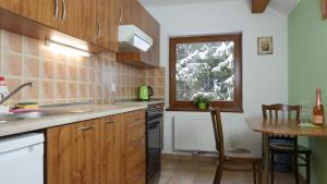 Kuchyň nebo kuchyňský kout v ubytování Pension Aspen Harrachov