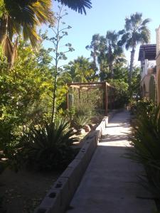 Vrt pred nastanitvijo Coco Cabanas Loreto