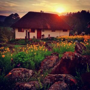 a house with a grass roof and a field of flowers at Otters Den in Nottingham Road