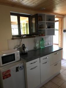 a kitchen with a white refrigerator and a microwave at маленькое шале в с.Строенцы in Stroieşti