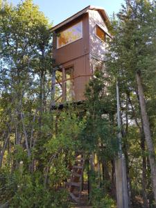 a tree house in the middle of the forest at Casa árbol Conguillio National Park in Melipeuco