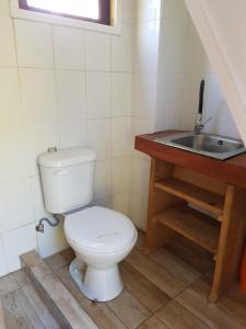 ein Bad mit einem WC und einem Waschbecken in der Unterkunft Casa árbol Conguillio National Park in Melipeuco